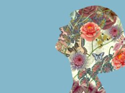 A Journey Into the World of Butterflies